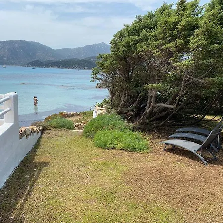 Sul Mare Sardegna Floriana *