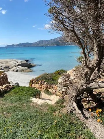 Sul Mare Sardegna Floriana *