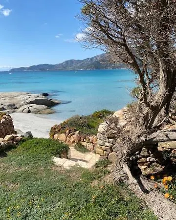 Sul Mare Sardegna Floriana *